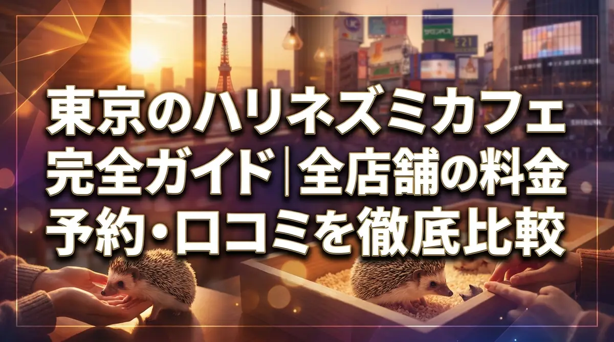 東京のハリネズミカフェ完全ガイド｜全店舗の料金・予約・口コミを徹底比較
