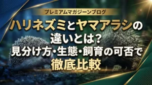 ハリネズミとヤマアラシの違いとは？見分け方・生態・飼育の可否まで徹底比較
