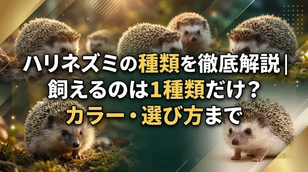 ハリネズミの種類を徹底解説｜飼えるのは1種類だけ？カラー・選び方まで