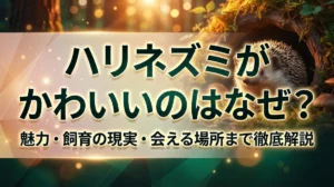 ハリネズミがかわいいのはなぜ？魅力・飼育の現実・会える場所まで徹底解説