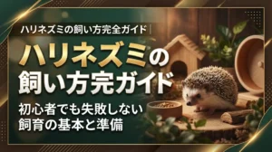 ハリネズミの飼い方完全ガイド｜初心者でも失敗しない飼育の基本と準備