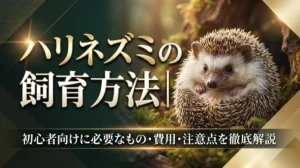 ハリネズミの飼育方法｜初心者向けに必要なもの・費用・注意点を徹底解説