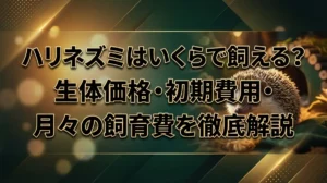 ハリネズミはいくらで飼える？生体価格・初期費用・月々の飼育費を徹底解説