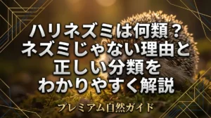 ハリネズミは何類？ネズミじゃない理由と正しい分類をわかりやすく解説