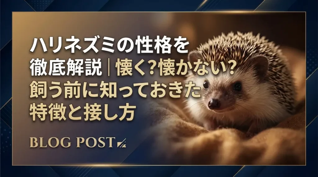 ハリネズミの性格を徹底解説｜懐く？懐かない？飼う前に知っておきたい特徴と接し方