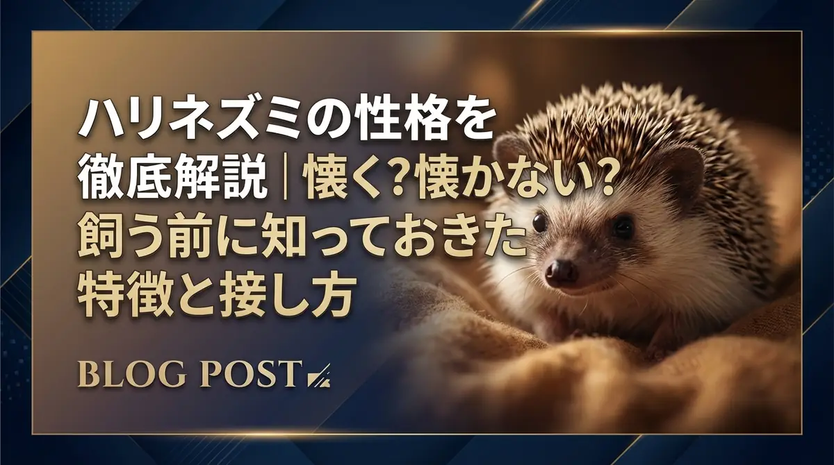 ハリネズミの性格を徹底解説|懐く?懐かない?飼う前に知っておきたい特徴と接し方