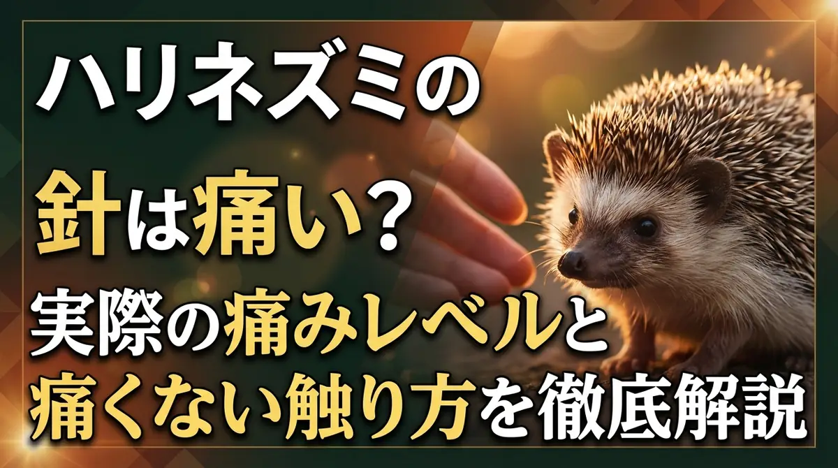 ハリネズミの針は痛い?実際の痛みレベルと痛くない触り方を徹底解説