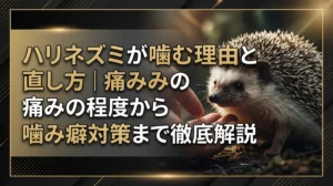 ハリネズミが噛む理由と直し方｜痛みの程度から噛み癖対策まで徹底解説