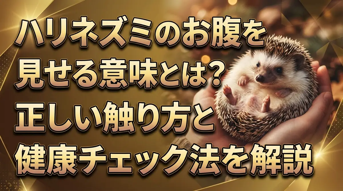 ハリネズミのお腹を見せる意味とは?正しい触り方と健康チェック法を解説
